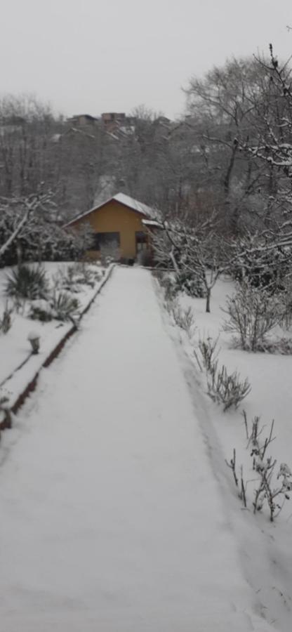 Pensiunea Lucia Ana Cluj Napoca Bagian luar foto